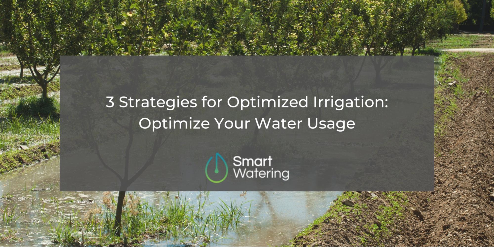 optimized-irrigation