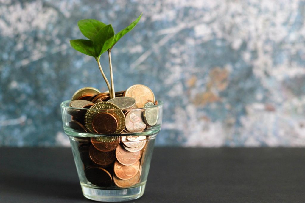 glass-money-plant-growing